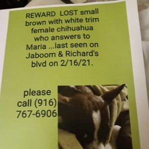 Meet your Posher, Tara